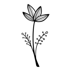 black and white leaves, floral botanical hand drawn vector illustration