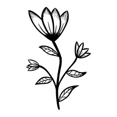 black and white leaves, floral botanical hand drawn vector illustration