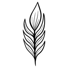 black and white leaves, floral botanical hand drawn vector illustration