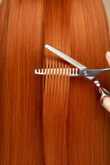 Hairdresser cuts long red hair with scissors. Hair salon, hairstylist. Care and beauty hair products. Dyed hair