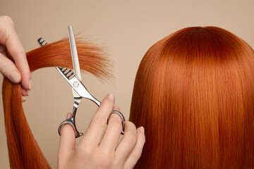 Hairdresser cuts long red hair with scissors. Hair salon, hairstylist. Care and beauty hair...
