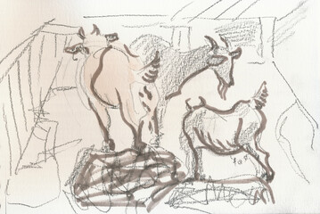 Obraz premium An hand drawn illustration, scanned picture - goats - marker and pencil technique