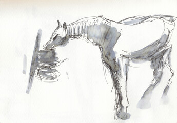 An hand drawn illustration, scanned picture - horse - artistic marker and watercolor technique © kuco