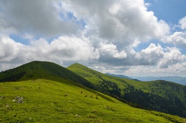 Fototapeta premium Beautiful ridge of mountains with lush green grass on tops and slopes on background of blue sky with clouds. Carpathians, Ukraine