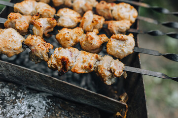 Large pieces of marinated pork meat, barbecue on a skewer are fried on the grill. Food photography.