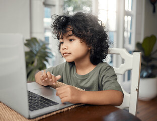 Learning with my favourite character. Shot of an adorable little boy using a laptop while sitting...