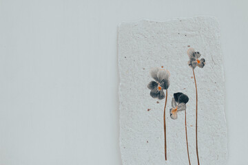 Dried viola flower pressed onto a sheet of handmade paper with a pronounced explicit texture. Reuse...