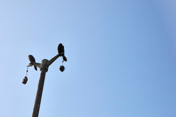 307 / 5,000
Resultados de traducción
The district of Chorrillos is one of the 43 that make up the province of Lima, located in the homonymous department in Peru. It limits to the North with the distri