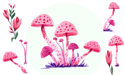 Mushroom Watercolor Vector elements and floral flower
