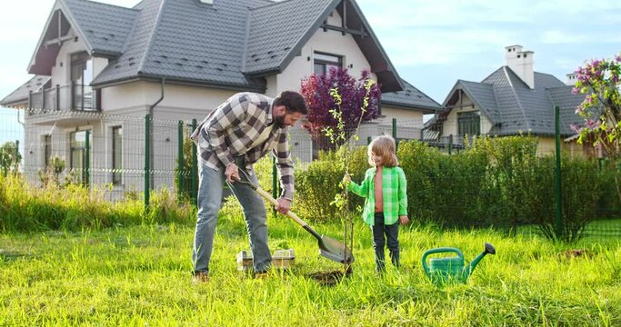 Caucasian father planting tree and digging in ground and little cute son helping him. Garden summer work. Outdoors. Dad with kid working together in orchard.