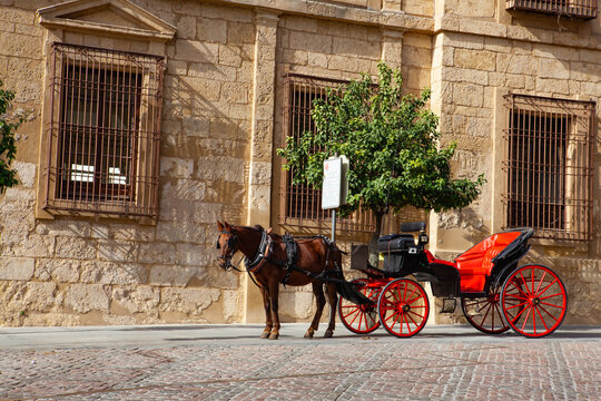 Red horse carriage parked next to the mosque of Cordoba, Andalusia, Spain.