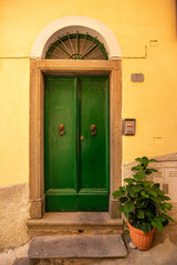 Fototapeta na wymiar Green Door in Riomaggiore, Cinque Terre, Italy