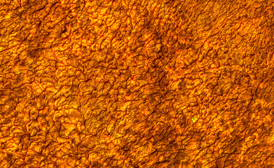 Golden wall with abstract spots as a background. Beautiful golden texture with patterns, decorative plaster. Modern bright wall painting in trendy shades, unusual spotted yellow and gold surface.