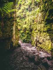 Luds Church Peak District