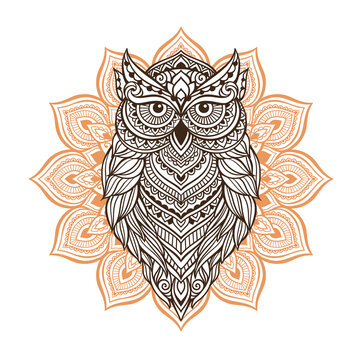 Owl zen art mandala in line art style. Vector Illustration