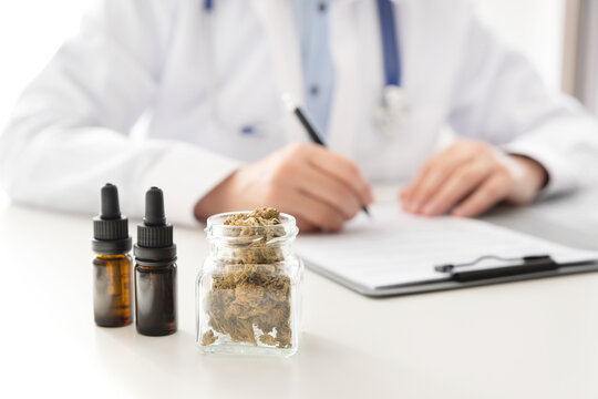 Doctor with cannabis hemp and oil