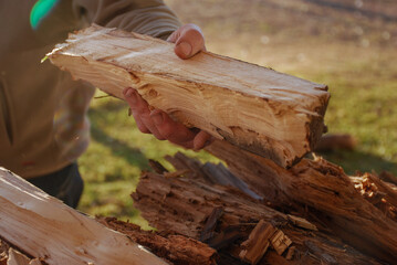 lumberjack gathering firewood in winter