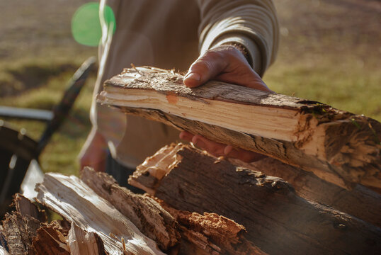 Lumberjack Gathering Firewood In Winter