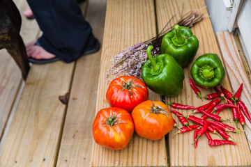 Freshly picked vegetables from a garden