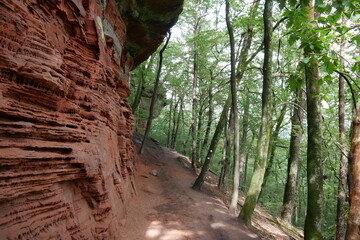 Altschlossfelsen im Wald des Pfälzerwaldes