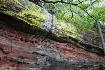 Wanderweg am Altschlossfelsen im Pfälzerwald