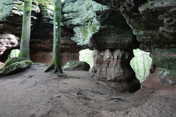 Obraz premium Felsentore am Altschlossfelsen im Pfälzerwald