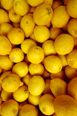 lemons in the market