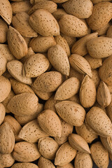Obraz premium Close-up of almonds in shell
