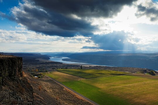 Vineyards in East Wenatchee viewed from atop the ridge.
