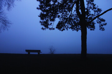 Fototapeta na wymiar bench in the dark, foggy park