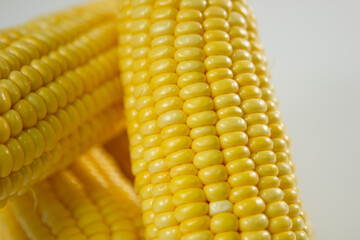 Milho verde recém colhidas em fotos de estudio