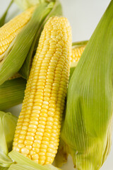 Milho verde recém colhidas em fotos de estudio