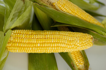Milho verde recém colhidas em fotos de estudio