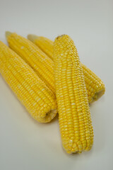 Milho verde recém colhidas em fotos de estudio