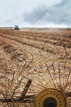 Tractor and wheel rake used to prepare field for planting of new crop