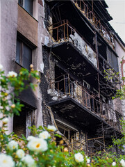 Fototapeta na wymiar Blossoming rose bush on the background of ruined balconies of a house in Bucha, Kyiv region, after the Russian occupation (concept: unbreakable, unconquered, life will win death)