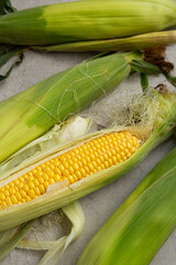 Yellow corn cob with green husk food
