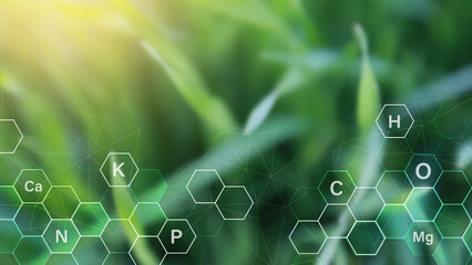 Grass on sunny background with digital mineral nutrients icon. Fertilization and the role of...
