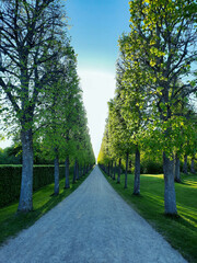 path in the park