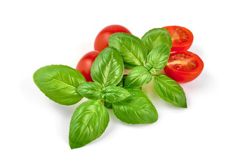 Basil leaves isolated, isolated on white background.