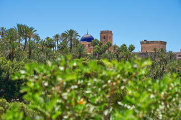 Fototapeta na wymiar View of the Palmeral of Elche and view of the Altamira castle and the blue dome of the Santa María basilica. Selective focus. Located in the Valencian Community, Alicante, Elche, Spain