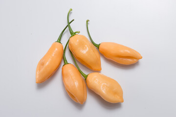 Pimenta de cheiro do norte sobre fundo branco