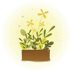 box with plants on a light background