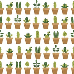 collection of indoor plants. Isolated on white background.