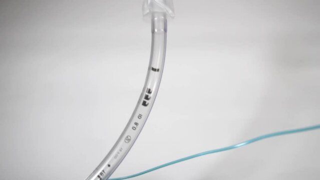 Endotrachealtubus Bilder Durchsuchen 593 Archivfotos,