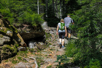 Wandern im Bayerischen Wald