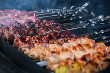 Cooking shish kebab on skewers. Meat, vegetables and bread rolls baked on coals.A male chef roasts juicy beef, chicken, pork.The concept of street food. Grilled meat on the grill.Meat on the barbecue.