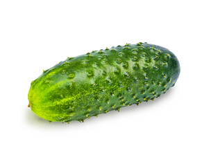 Isolated cucumber on a white background