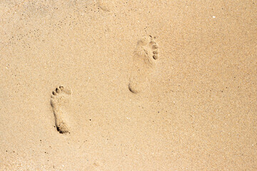 Fototapeta na wymiar bare footprints on the sandy seashore. Travel and tourism. Template, layout for text