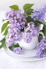 Beautiful spring composition with lilac flowers in a white cup for countryside decor